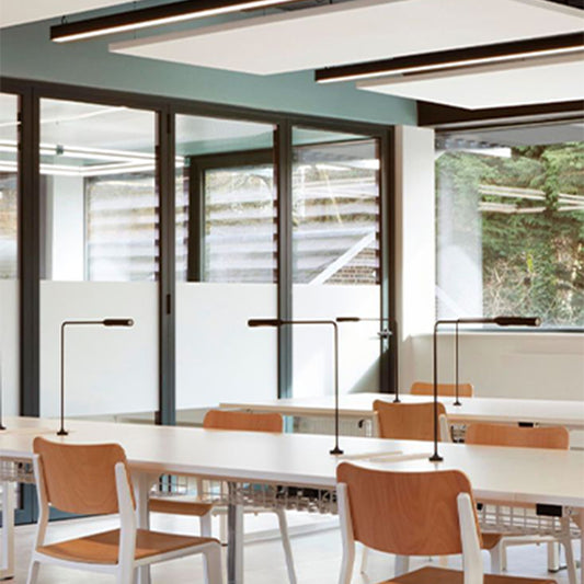 Library Bookshelf Double