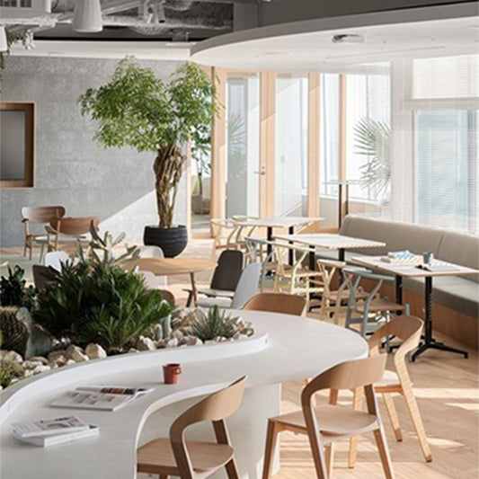 Restaurant Chair Wooden