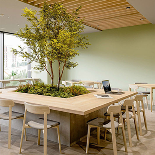 Banquet Chair Elegant